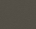 Quartz Grey Smooth